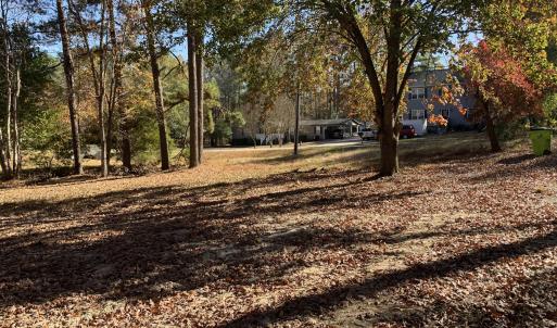 133 Green Back view 1