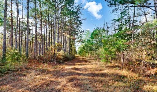 14-2310 Devils Racetrack Rd-14