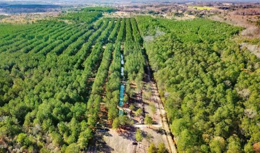 23-2310 Devils Racetrack Rd-23