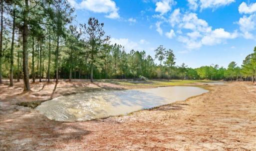 12-2310 Devils Racetrack Rd-12