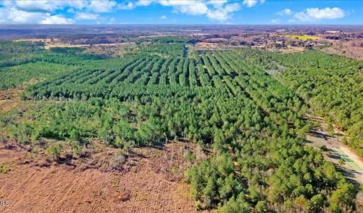 21-2310 Devils Racetrack Rd-21