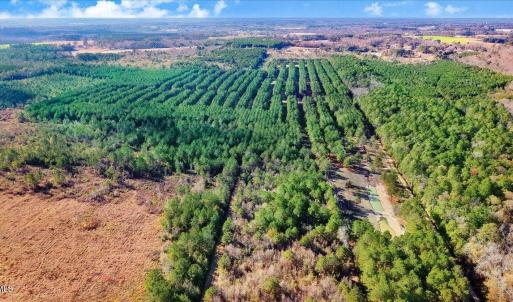 22-2310 Devils Racetrack Rd-22