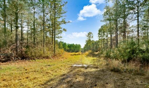 13-2310 Devils Racetrack Rd-13