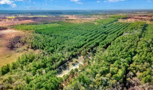 20-2310 Devils Racetrack Rd-20