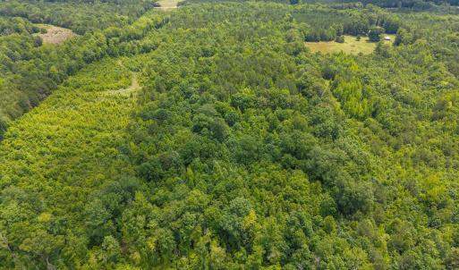 4-web-or-mls-DJI_20250530122107_0149_D