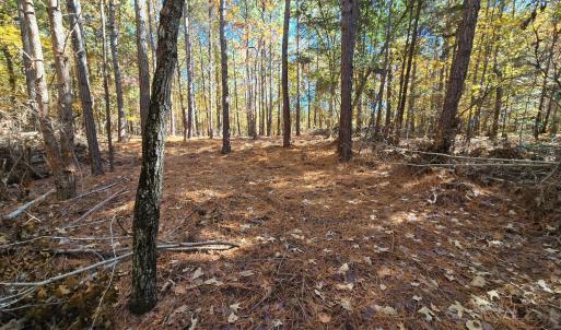 Lot 2 - Buildsite Trail