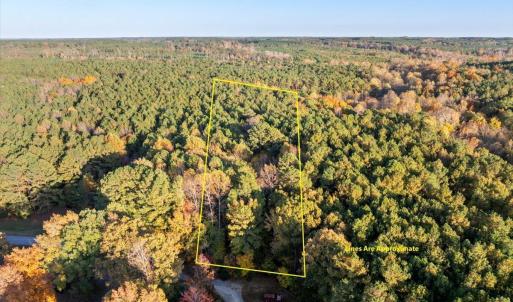 01-DJI_20241031124644_0363_D lines