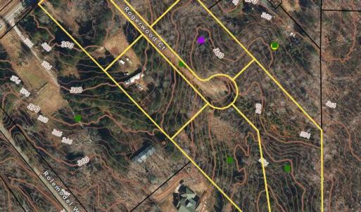 Rogerwood Ct_GIS All Countours