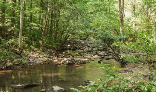 Dry Creek 2024-05-03 131219