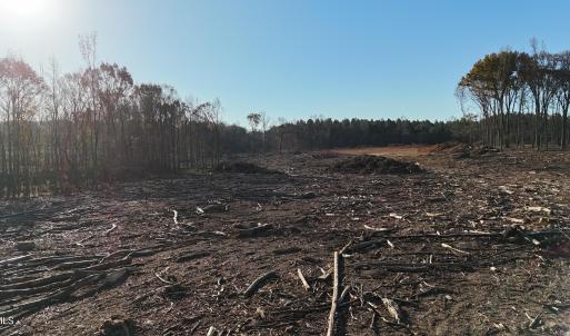 dji_fly_20251114_083236_0990_17631276612