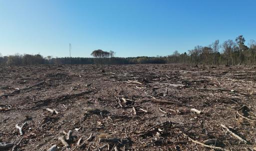 dji_fly_20251114_083342_0992_17631276606