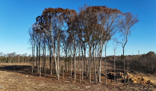 dji_fly_20251114_083700_0999_17631276336