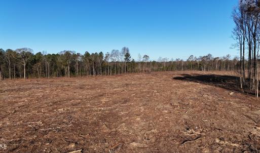 dji_fly_20251114_083704_0001_17631276320