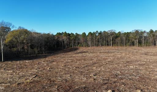 dji_fly_20251114_083708_0002_17631276303