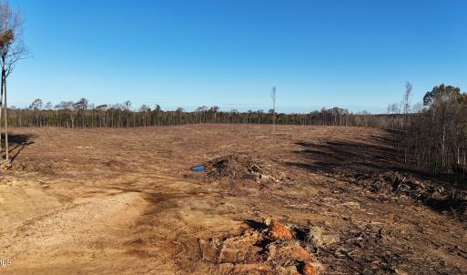 dji_fly_20251114_083724_0003_17631276286