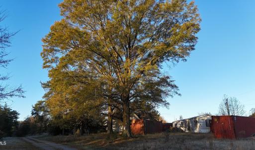 dji_fly_20251114_073748_0971_17631277349