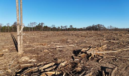 dji_fly_20251114_083224_0988_17631276619