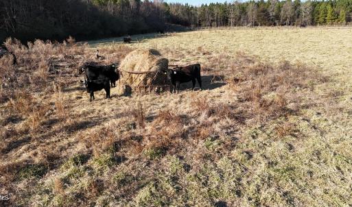 DJI_20251214162235_0008_D