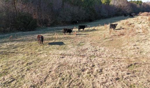 DJI_20251214162203_0006_D