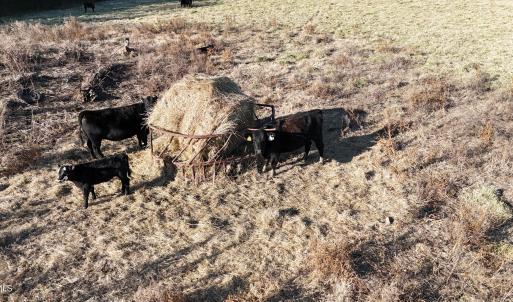 DJI_20251214162249_0009_D