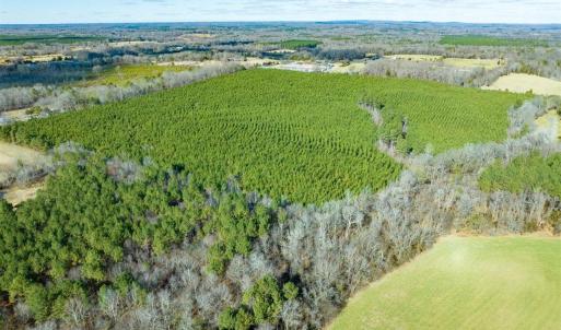 02-002-WillBrownRd-Chatham-Parcel-997