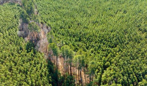 09-009-WillBrownRd-Chatham-Parcel-997-63