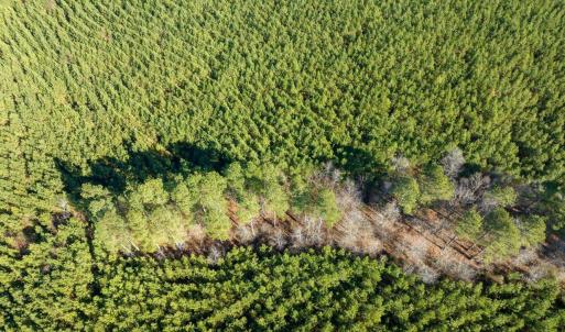 10-010-WillBrownRd-Chatham-Parcel-997-63