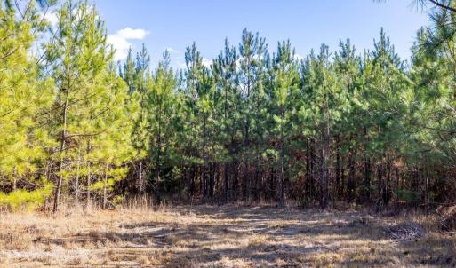 14-014-WillBrownRd-Chatham-Parcel-997-63