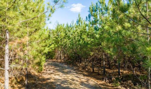 22-022-WillBrownRd-Chatham-Parcel-997-63