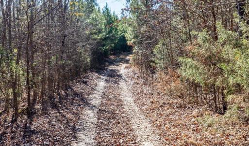 23-023-WillBrownRd-Chatham-Parcel-997-63