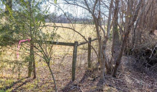 30-030-WillBrownRd-Chatham-Parcel-997-63