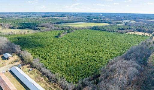 05-005-WillBrownRd-Chatham-Parcel-997-63