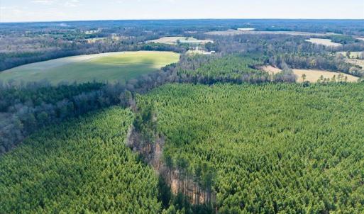 06-006-WillBrownRd-Chatham-Parcel-997-63