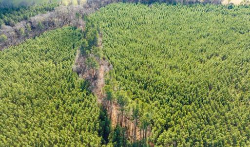 07-007-WillBrownRd-Chatham-Parcel-997-63