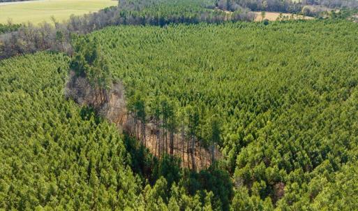 08-008-WillBrownRd-Chatham-Parcel-997-63