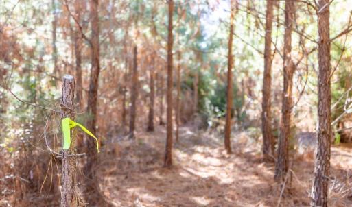 15-015-WillBrownRd-Chatham-Parcel-997-63