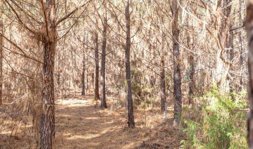 16-016-WillBrownRd-Chatham-Parcel-997-63