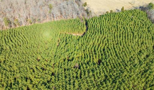 20-020-WillBrownRd-Chatham-Parcel-997-63