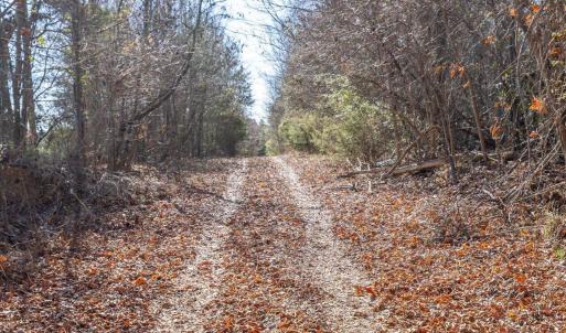 24-024-WillBrownRd-Chatham-Parcel-997-63