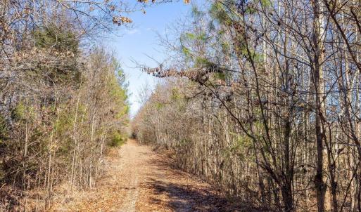 25-025-WillBrownRd-Chatham-Parcel-997-63