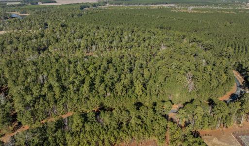 2-web-or-mls-DJI_0808