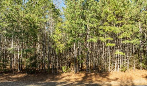 3-web-or-mls-DJI_0820