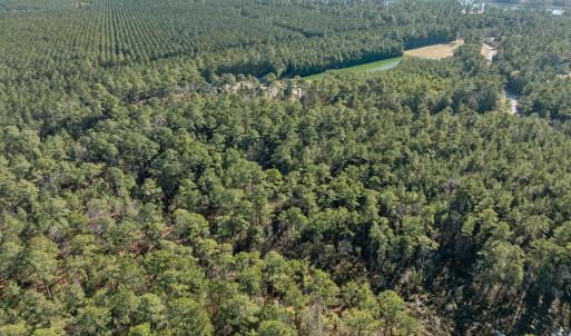 6-web-or-mls-DJI_0812