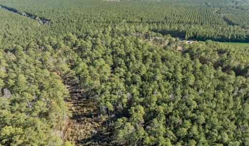 7-web-or-mls-DJI_0813