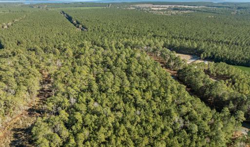 8-web-or-mls-DJI_0814