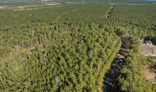 9-web-or-mls-DJI_0815