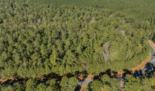 10-web-or-mls-DJI_0816