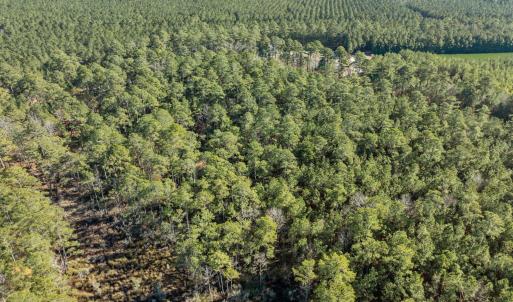 12-web-or-mls-DJI_0818