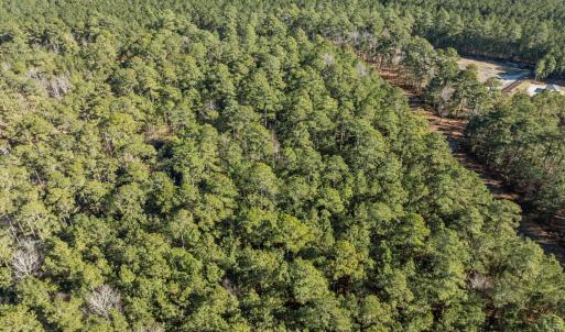 13-web-or-mls-DJI_0819