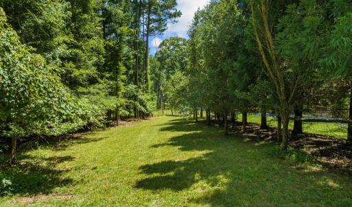 76-web-or-mls-DJI_0101